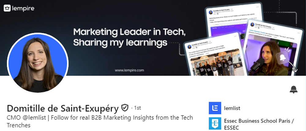 Domitille linkedin profile